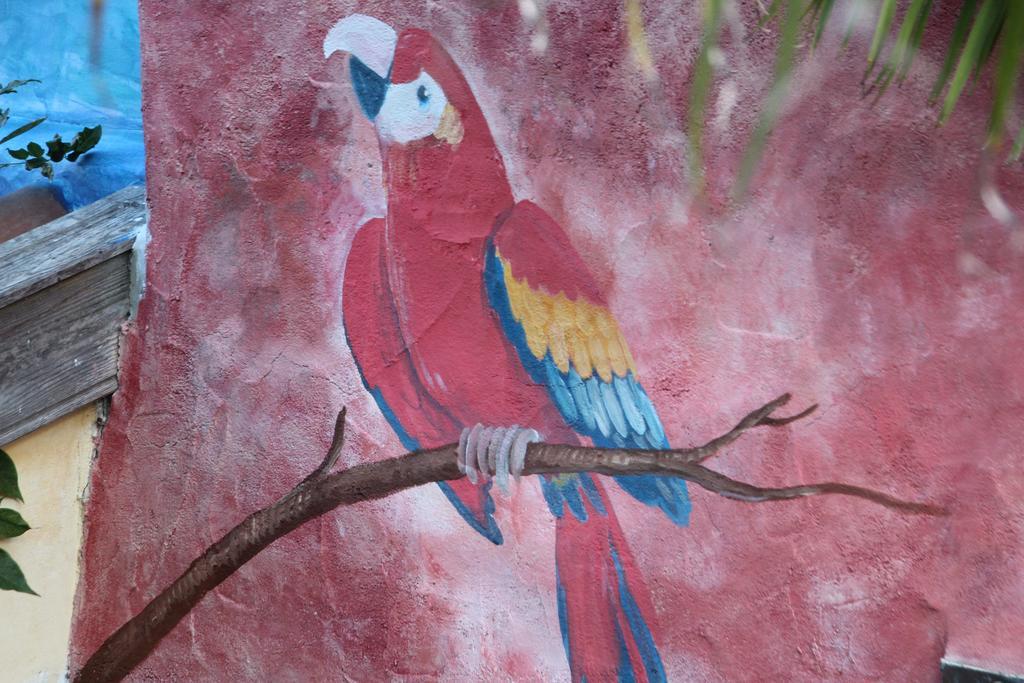 El Porvenir Hostel Los Llanos De Aridane Kültér fotó