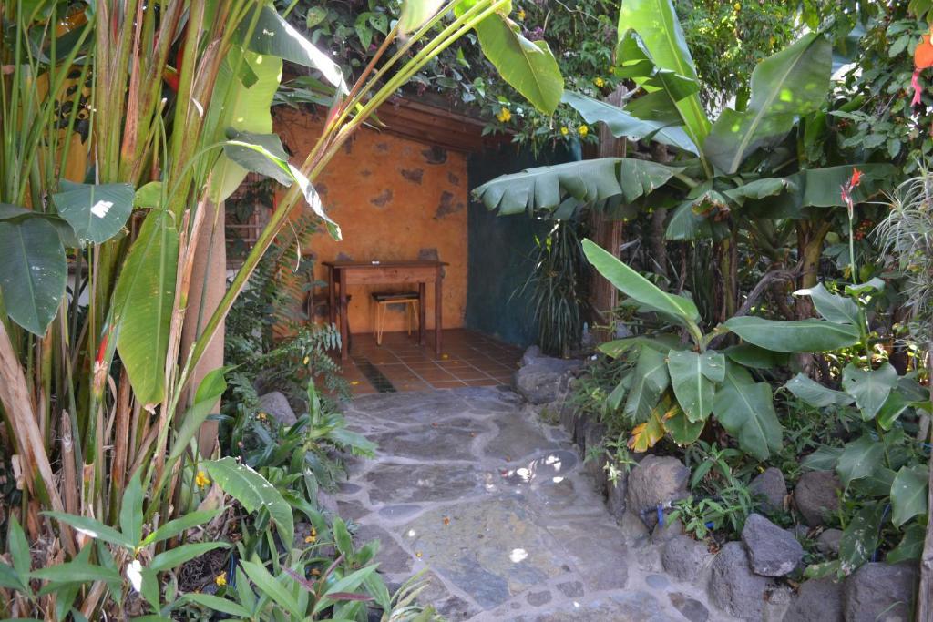 El Porvenir Hostel Los Llanos De Aridane Szoba fotó