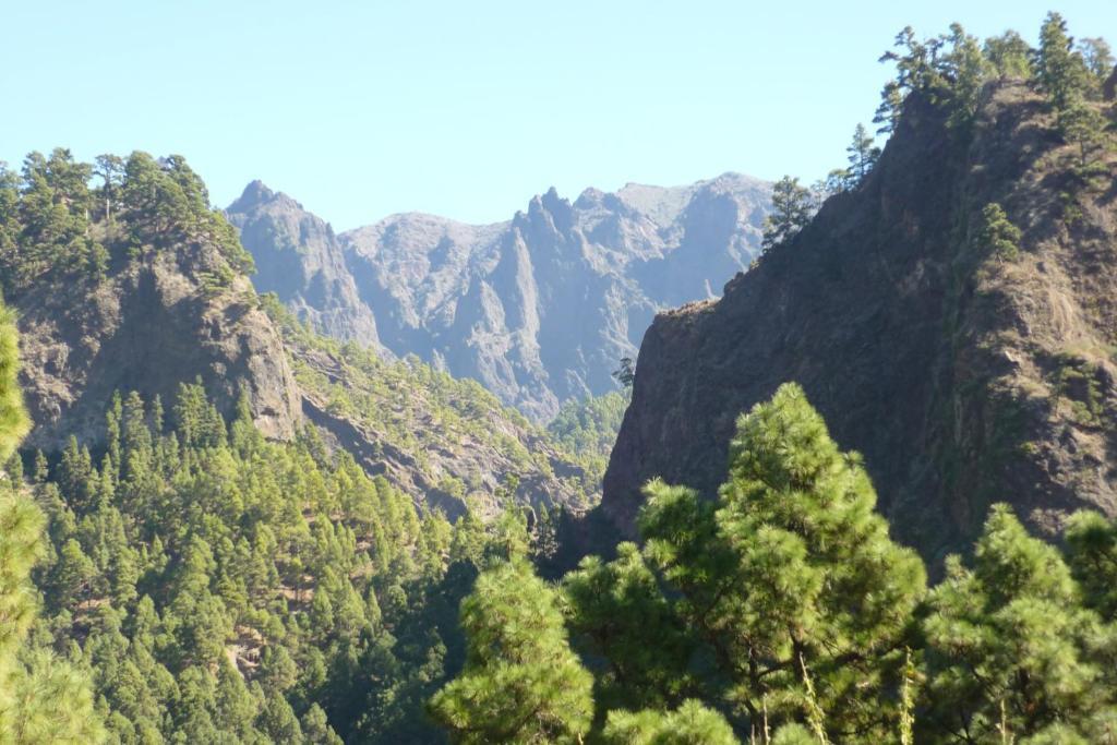 El Porvenir Hostel Los Llanos De Aridane Kültér fotó