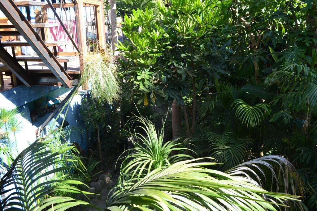 El Porvenir Hostel Los Llanos De Aridane Kültér fotó